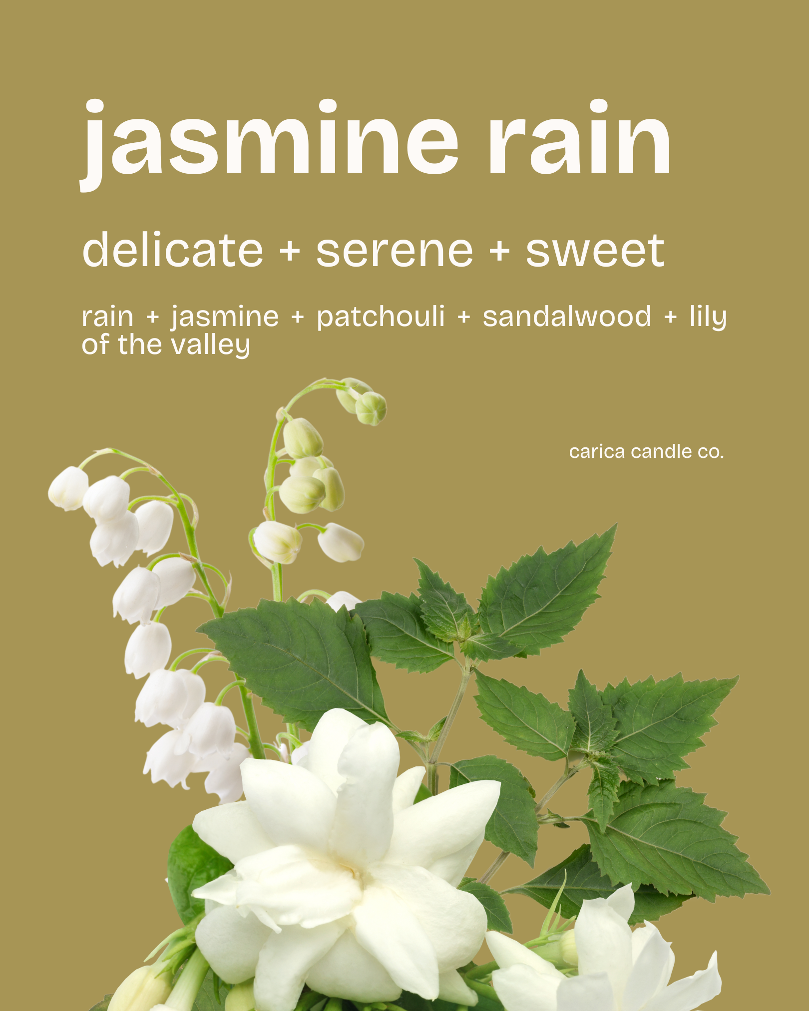 jasmine rain