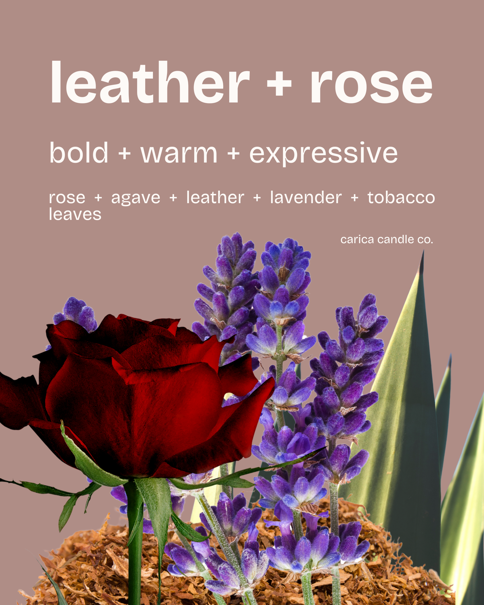 leather + rose