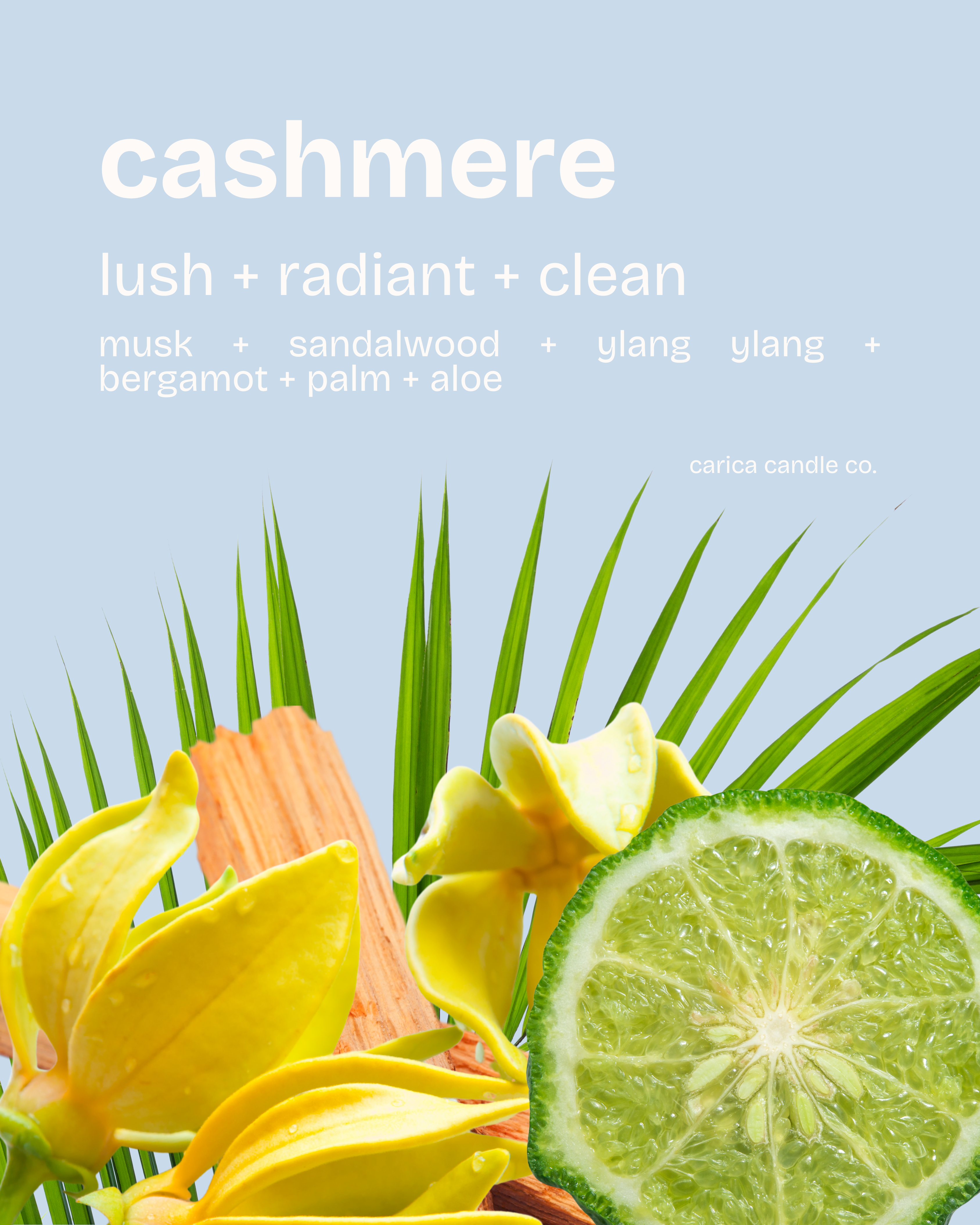 cashmere