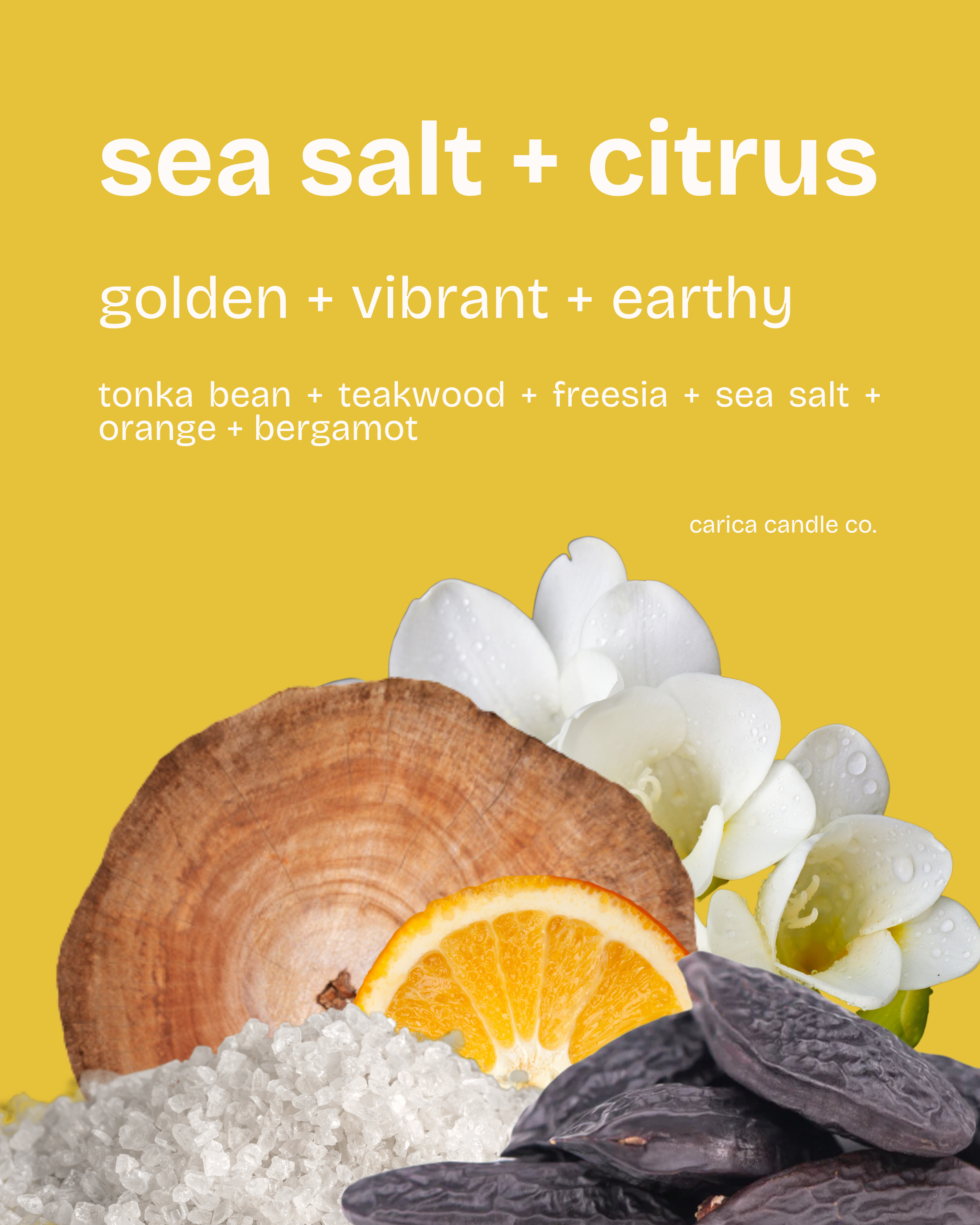 sea salt + citrus