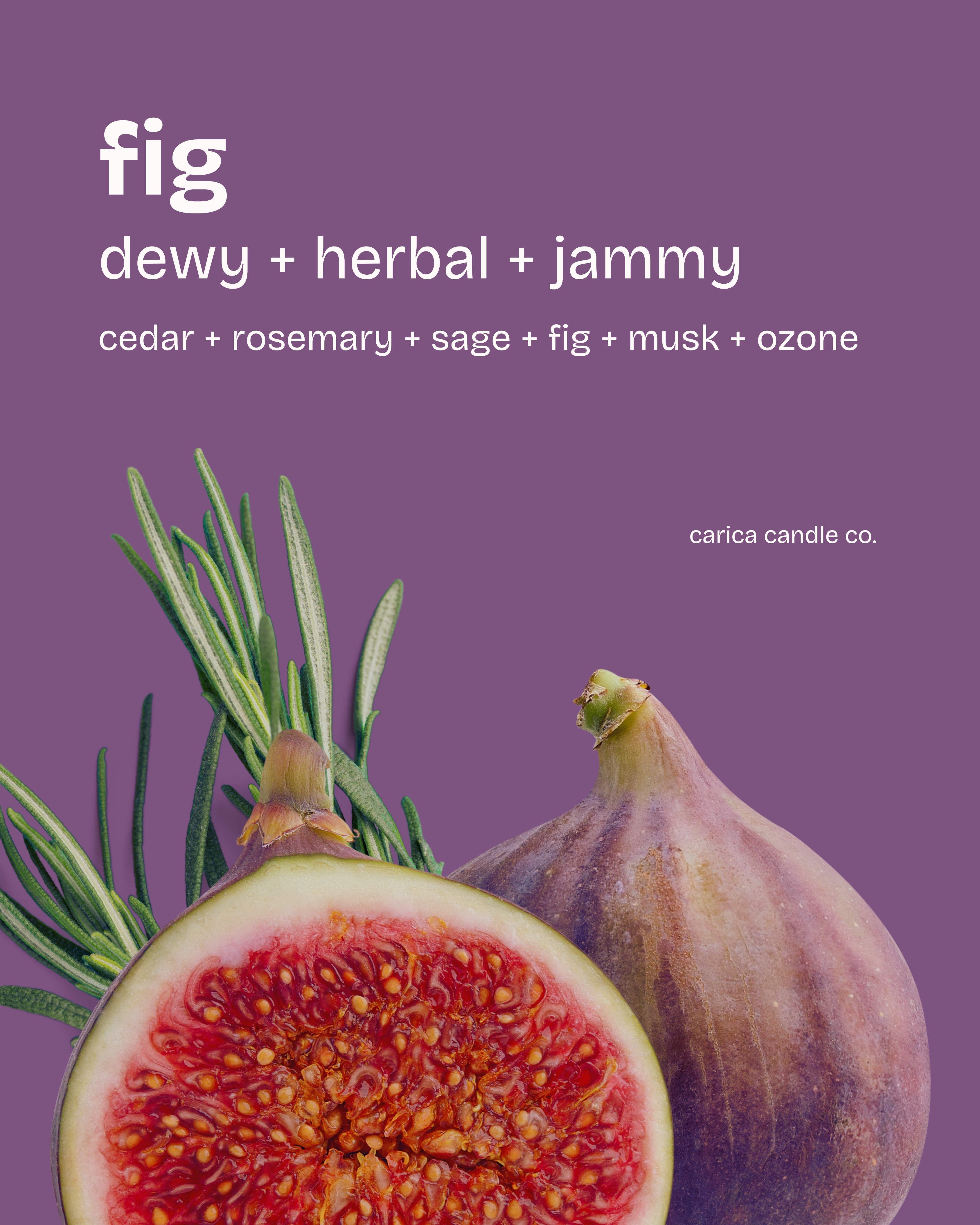 fig