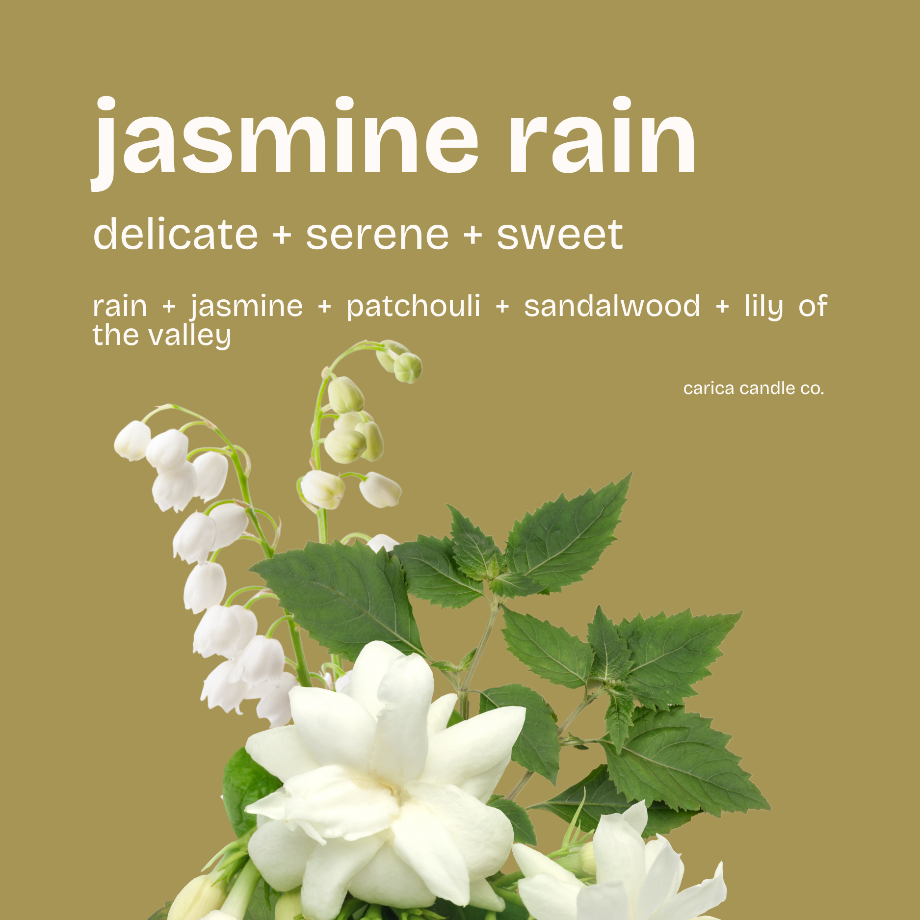 jasmine rain soy wax candle