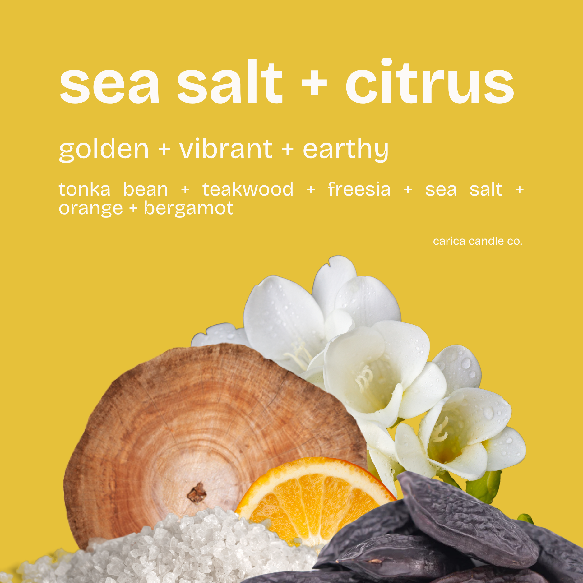 sea salt + citrus soy wax candle
