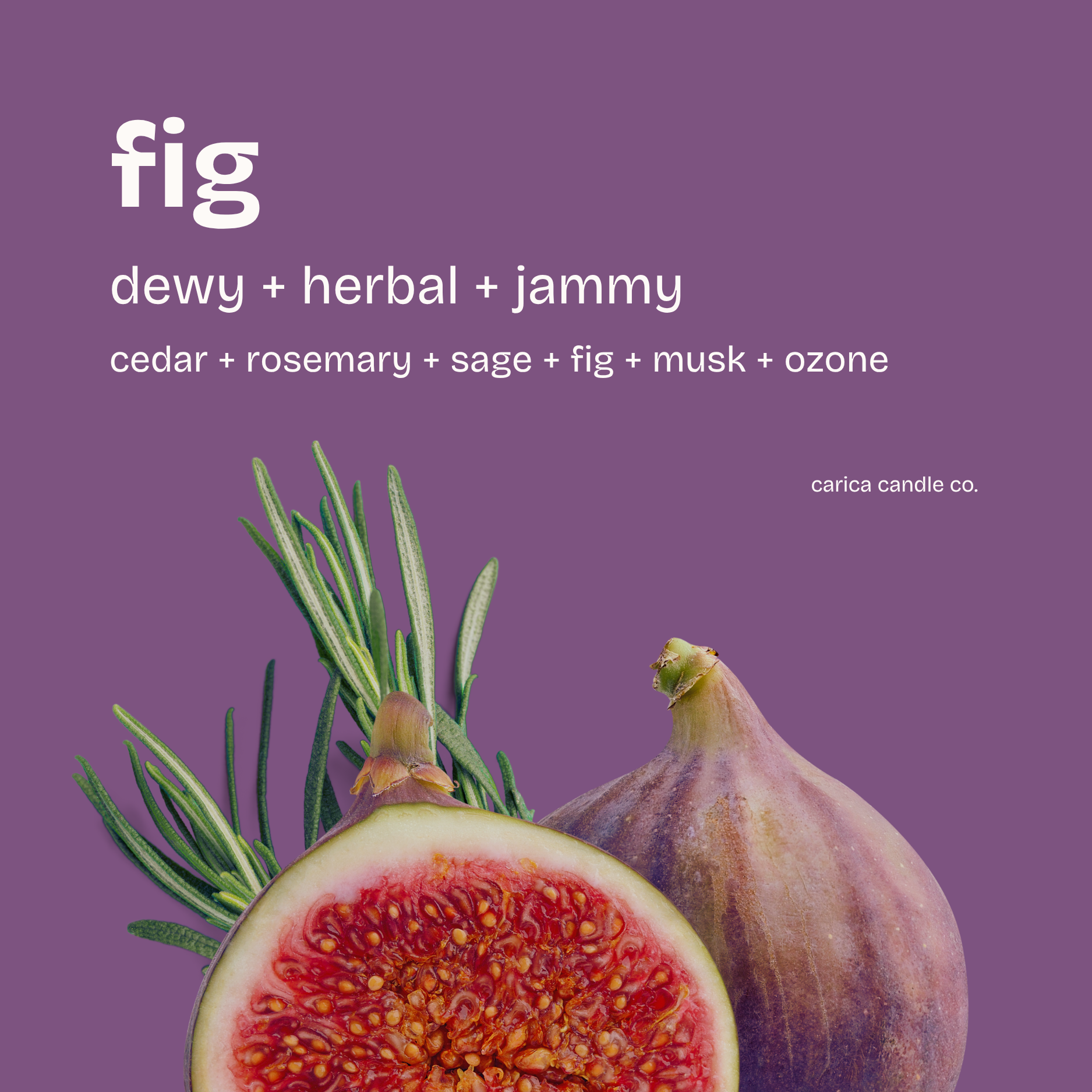 fig soy wax candle
